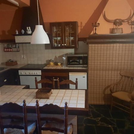 Appartement Loft Green à La Laguna  Extérieur photo