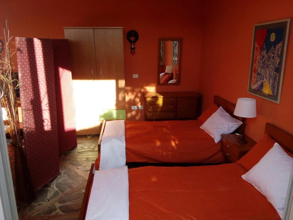 Appartement Loft Green à La Laguna  Extérieur photo
