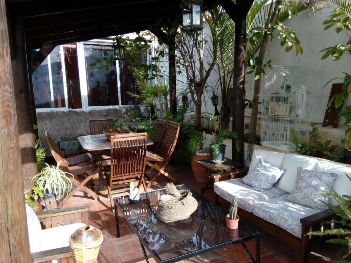 Appartement Loft Green à La Laguna  Extérieur photo