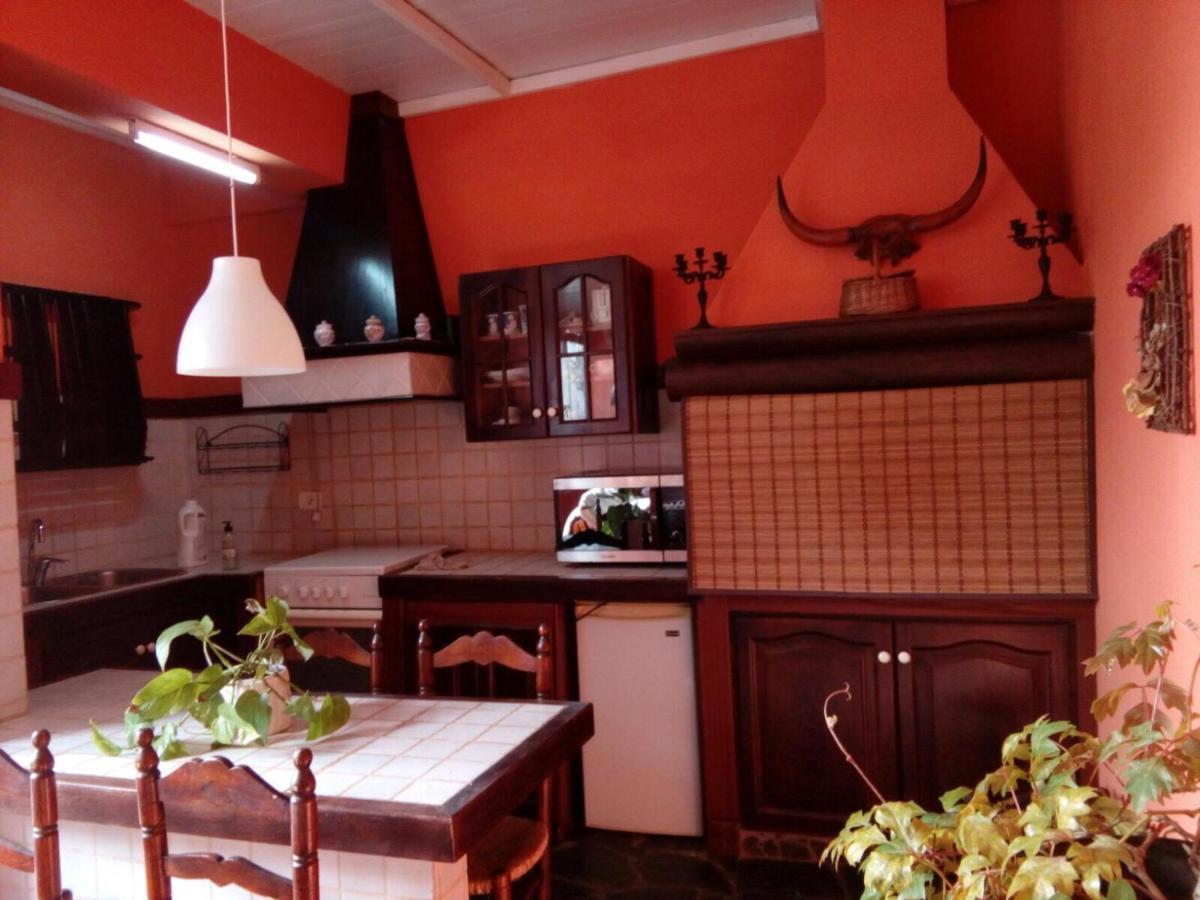 Appartement Loft Green à La Laguna  Extérieur photo